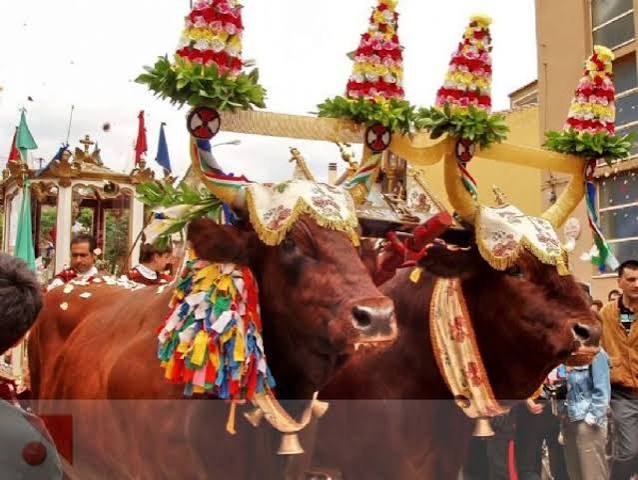 Feste e sagre in Sardegna: il calendario degli eventi nel nord dell’isola per promuovere il turismo